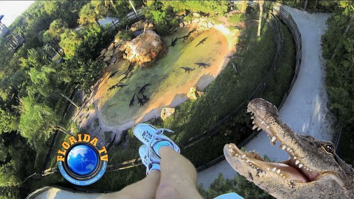 You can zip line over live alligators at the Florida amusement park