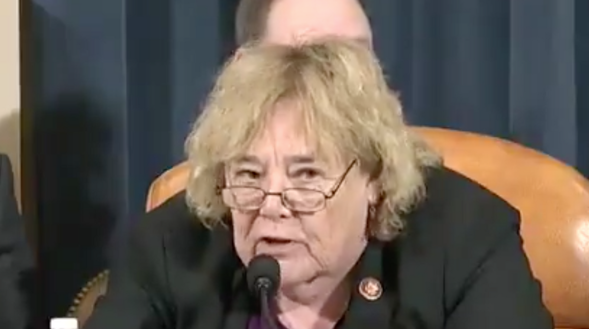 Democrat Brought Up Stormy Daniels to Make a Point About Republican Impeachment Hypocrisy and They Were So Not OK With It