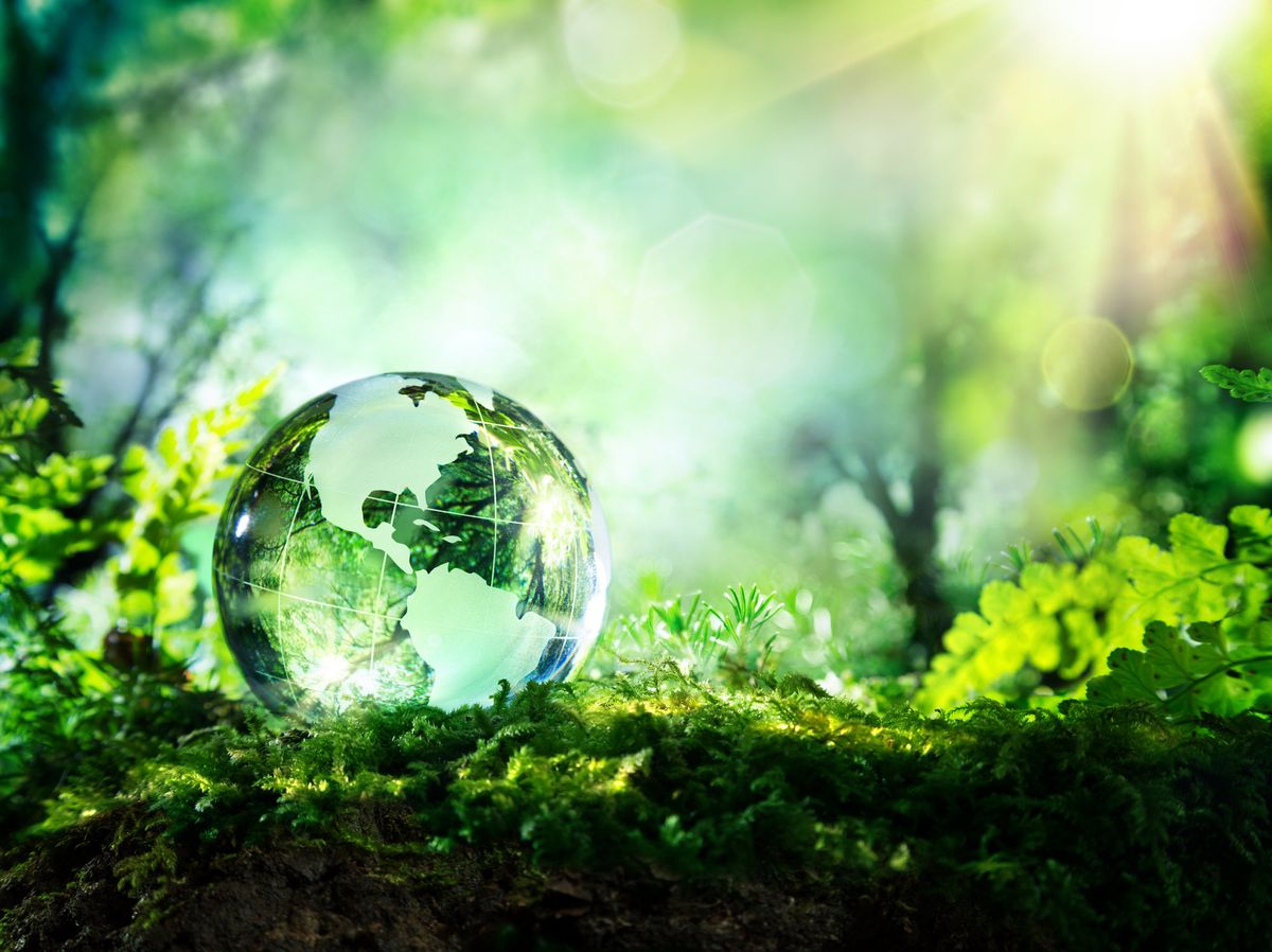 clear globe