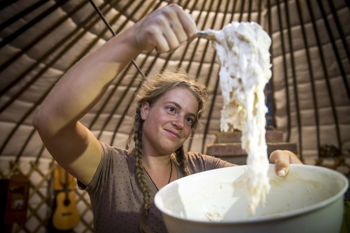 Lievito quotidiano. In panetti o liquido, è l’elemento base per pane, dolci e salati