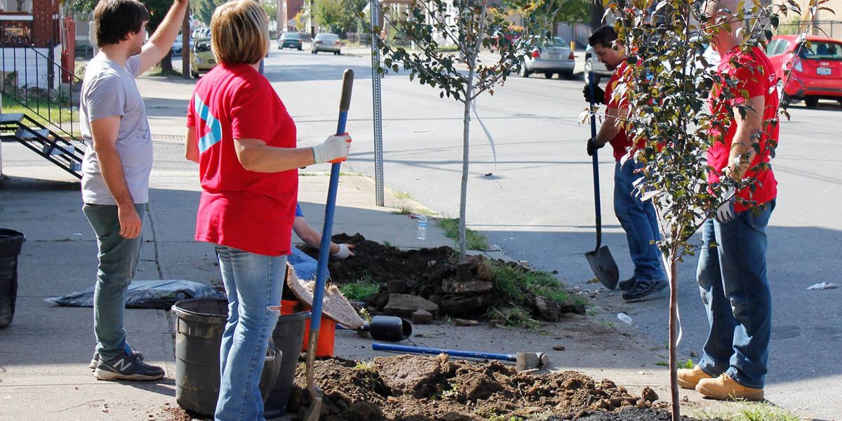 The Ohio River community of Newport bands together to slow runoff and add greenspace