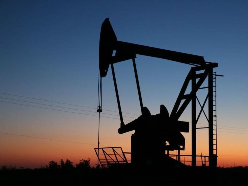 Houston company creates platform to help protect people's mineral