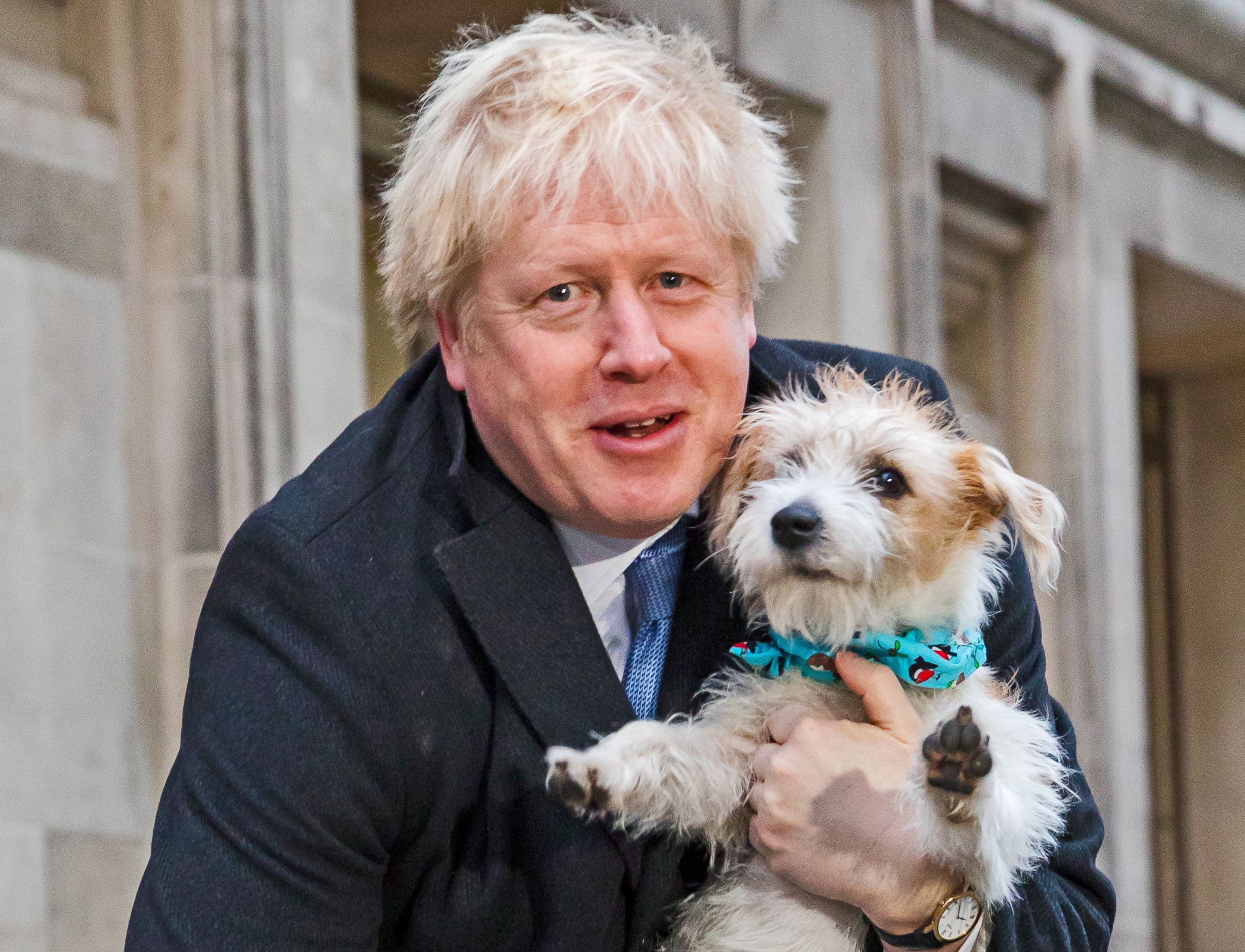 La sinistra snob sbaglia le previsioni poi attacca i poveri perché votano Boris