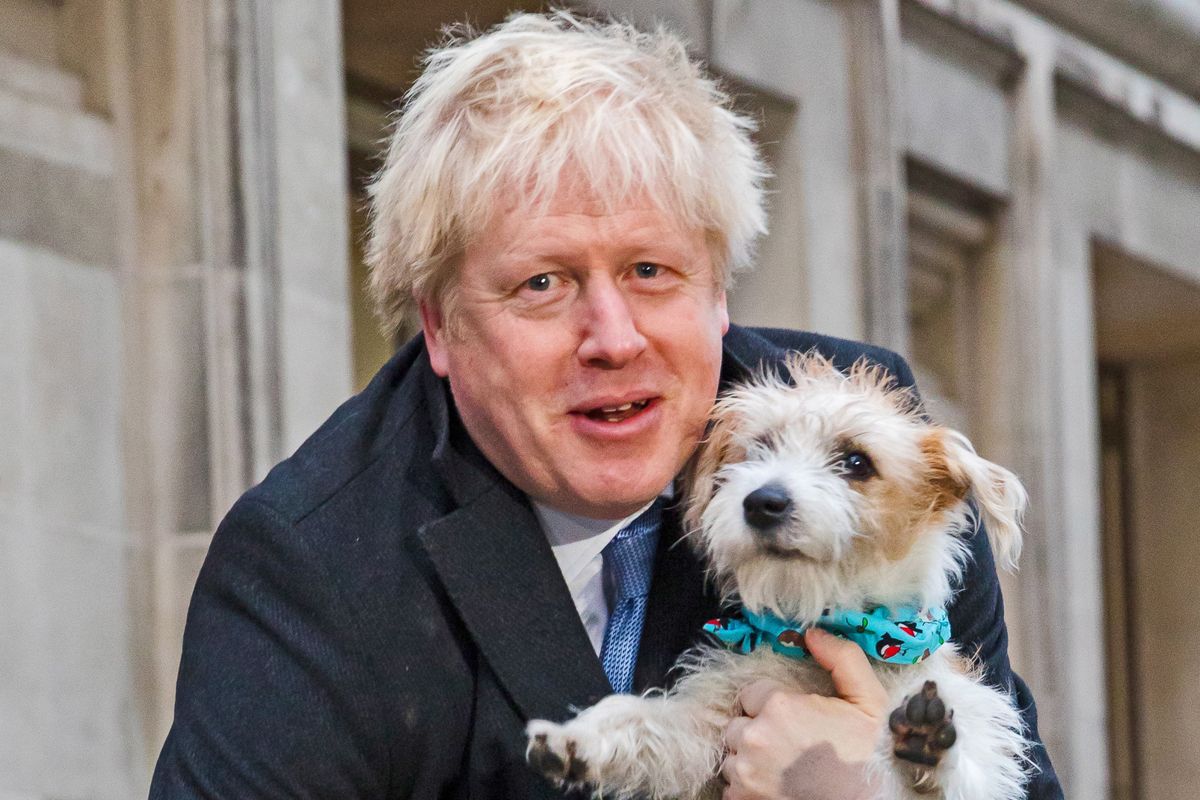 La sinistra snob sbaglia le previsioni poi attacca i poveri perché votano Boris