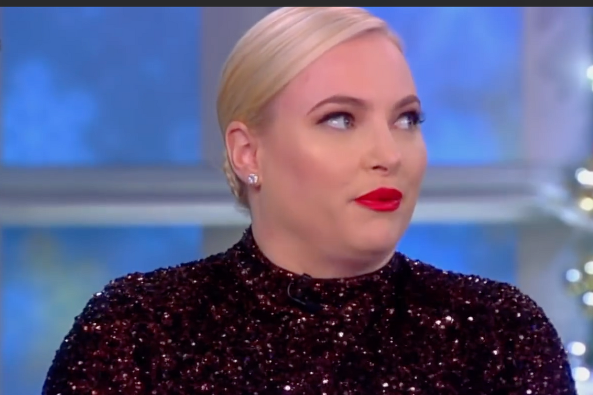 Nevertheless, Meghan McCain Persisted (In Being An Assh*le)