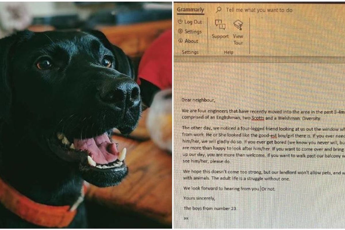 Four guys asked their new neighbor if they can walk her dog, and the dog wrote back
