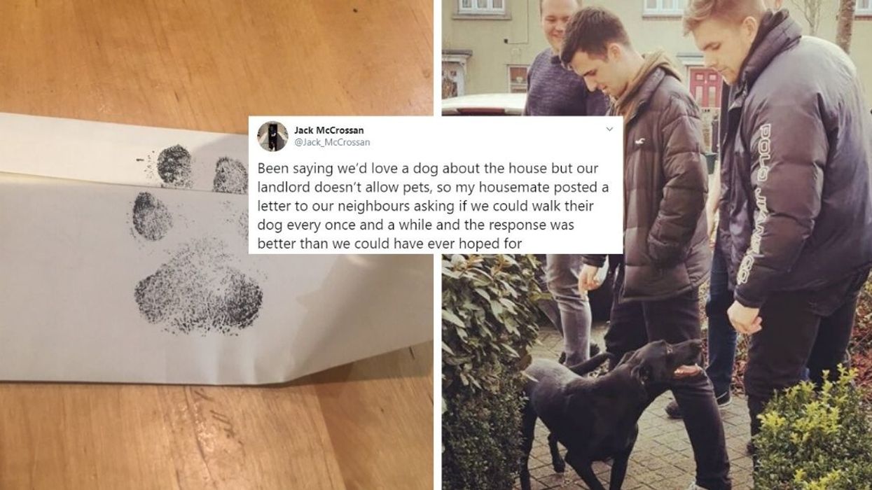 Four Roommates Wrote A Letter Asking If They Could Walk Their Neighbor's Dog, And They Got A Heartwarming Letter From The Dog In Response