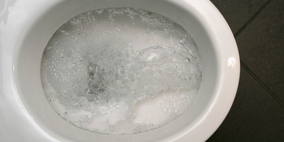 Startup designs slanted toilet that causes pain after 5 minutes — all ...