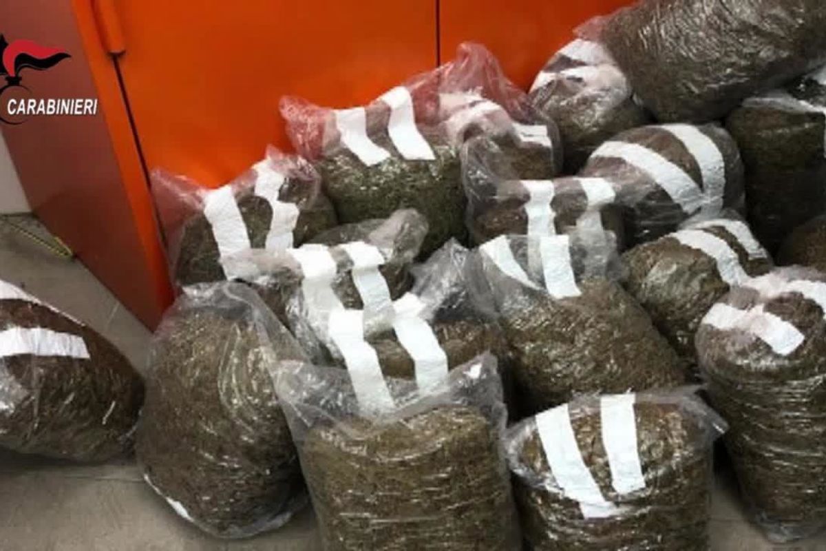 ’Ndrangheta, maxi retata in Calabria. Coinvolti politici, 007 e massoni