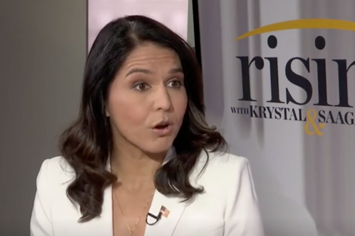 Tulsi Gabbard Is An Asset All Right