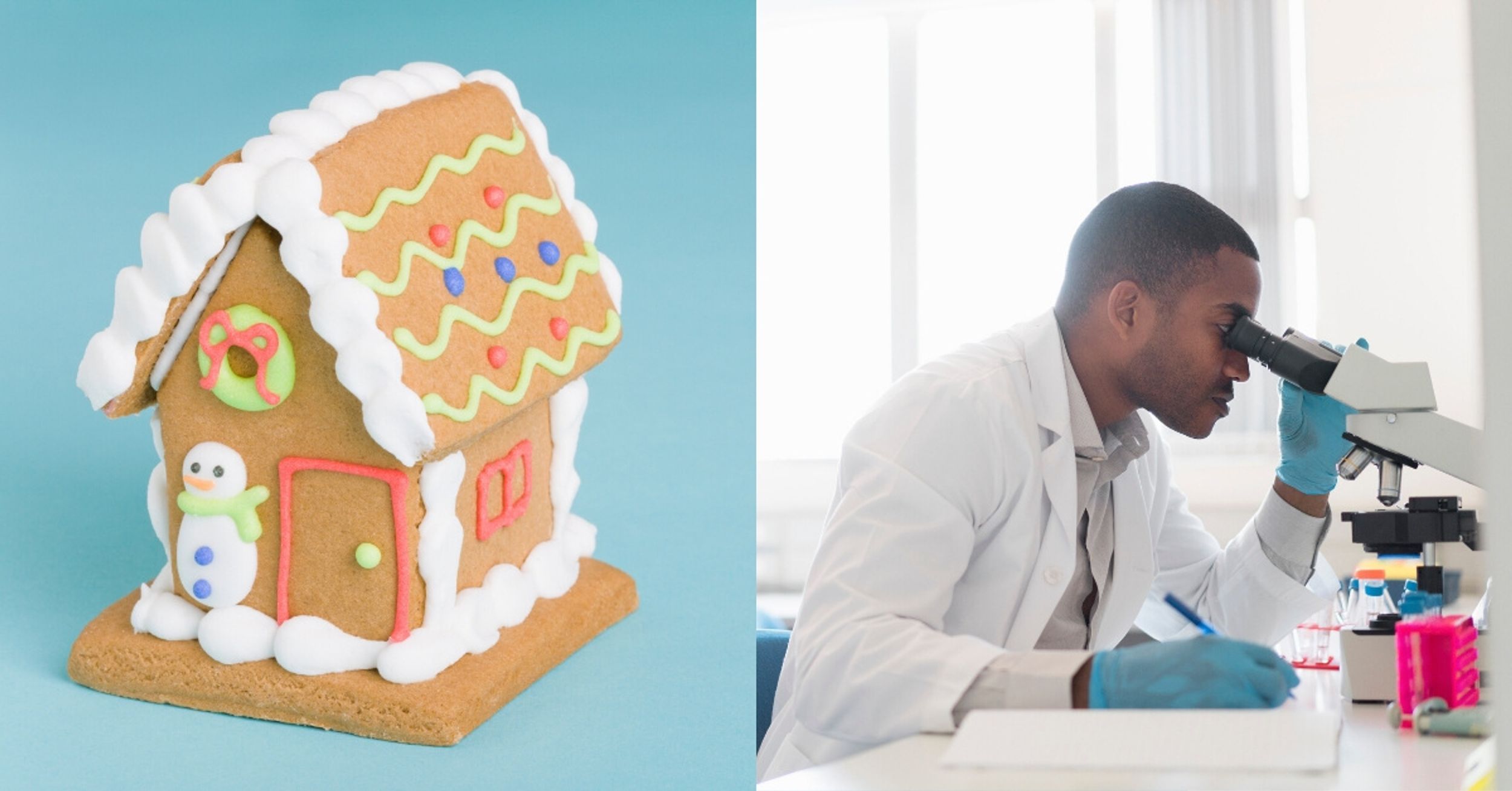 Scientist Creates World's Tiniest 'Gingerbread House' That Is 10 Times Smaller Than The Width Of A Human Hair