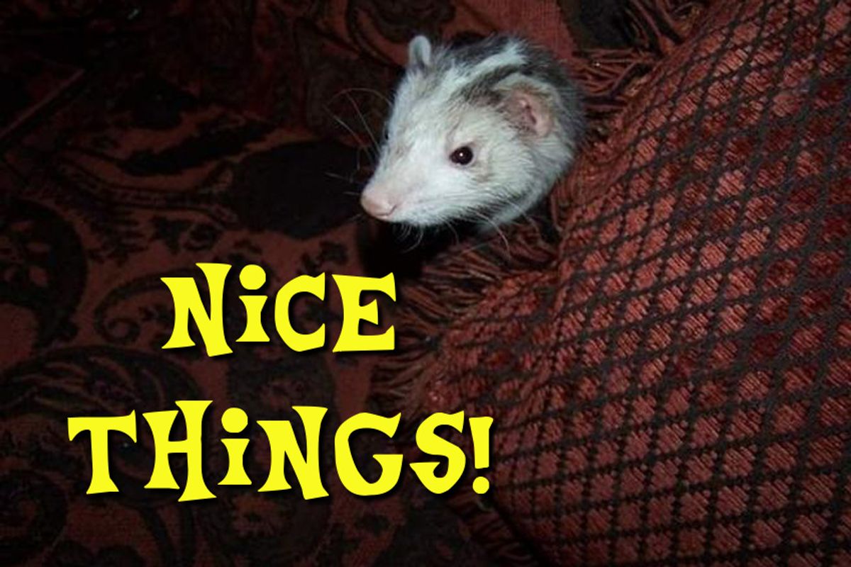 Peace On Earth And Nice Things To All!