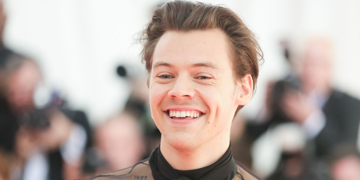 Harry Styles' Ex Will Appear on His New Album