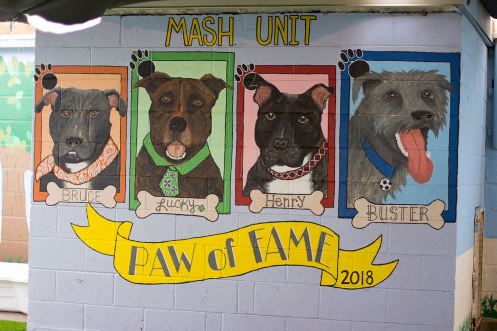 MASH provides a second chance for inmates and animals