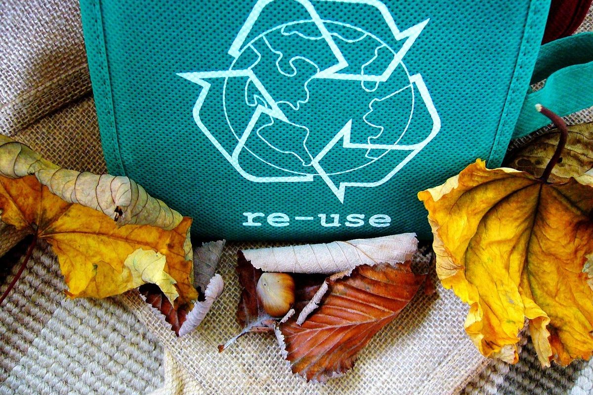 6 attractive alternatives to everyday products that are better for the environment