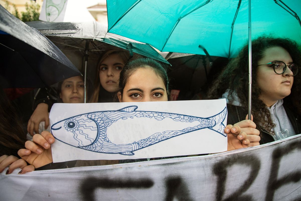 «Avvenire» serve ai bimbi le sardine rosse