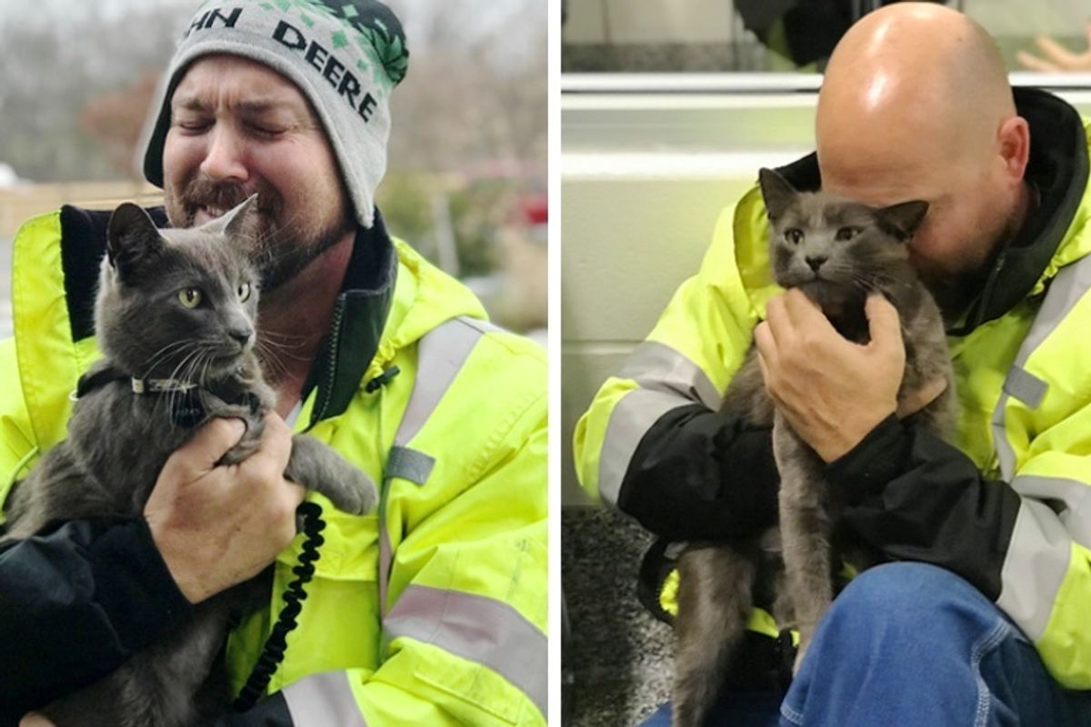 Truck Driver Breaks into Tears When His Cat Returns to Him After Months of Searching