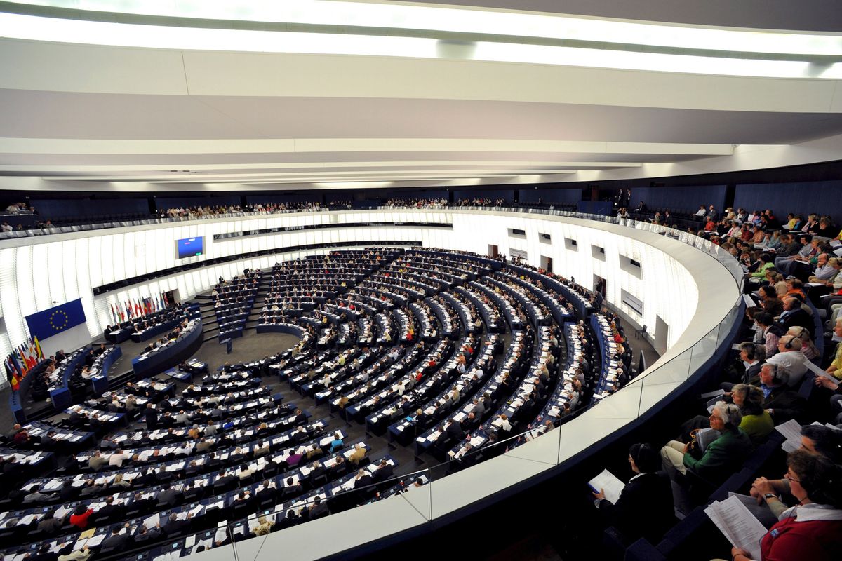 Gender nella Convenzione Istanbul: «Ma gli eurodeputati che firmano i manifesti pro life non si sono accorti?»