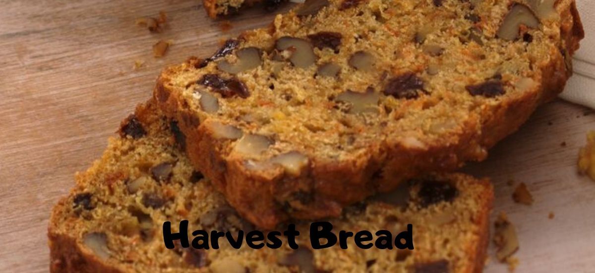 great harvest bread company recipe