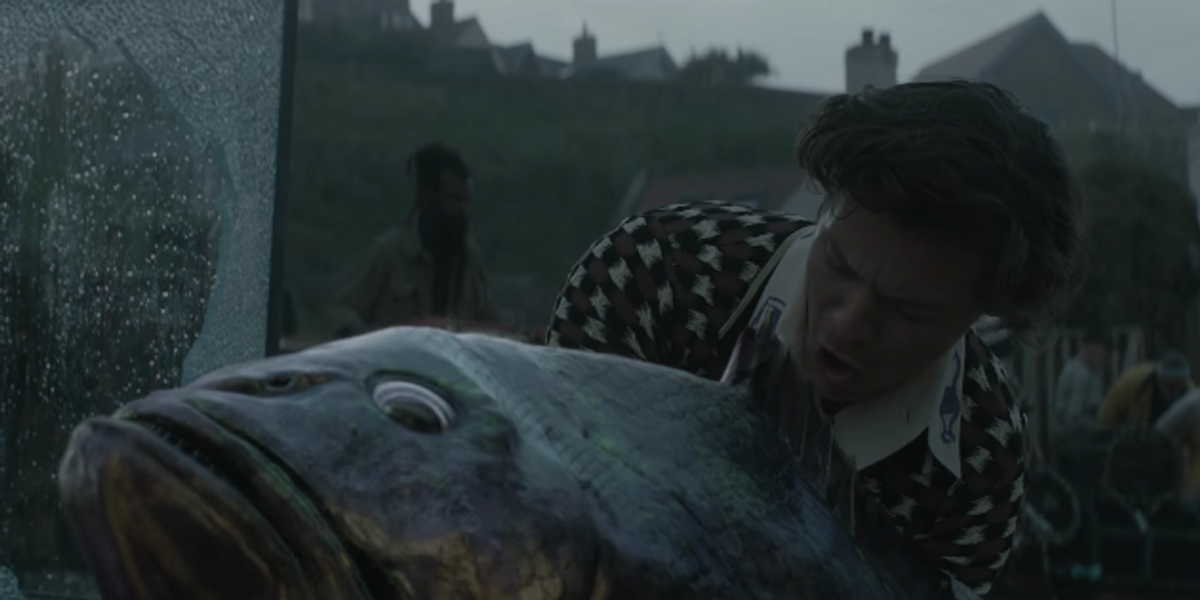 Watch Harry Styles Befriend a Fish