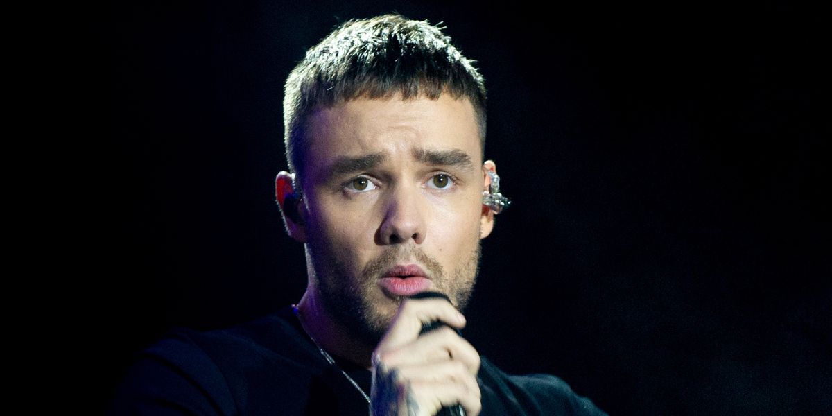 Liam Payne Wrote a Messy Song About Liking Bisexual Girls