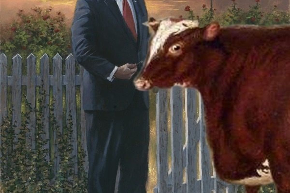 2019: The Year Devin Nunes Sued A Cow, And A Forty-Millionaire Sued US!
