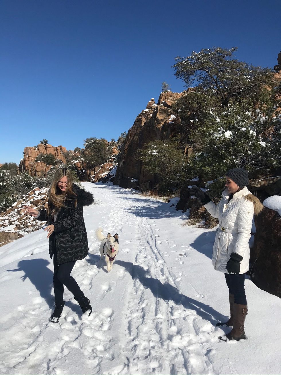 Meet The Reporter: Holiday traditions