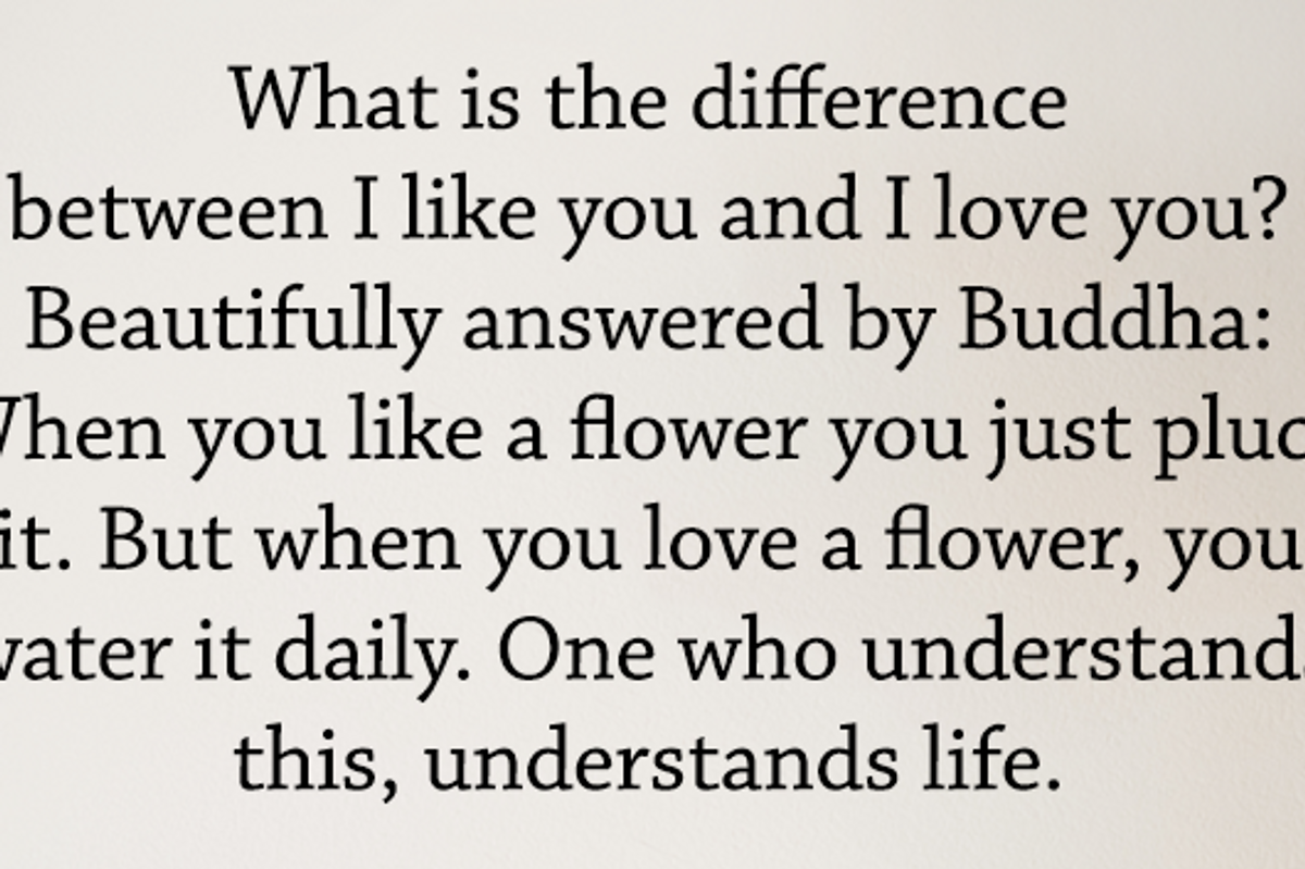 The Difference Between I Like You And I Love You Higher