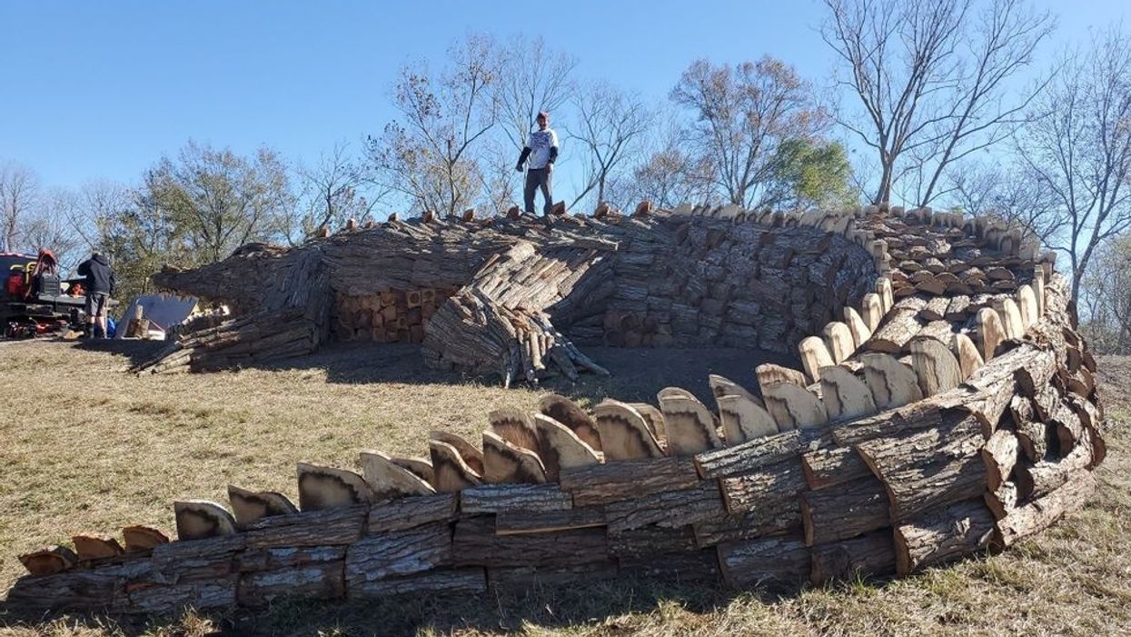 Watch 60-foot alligator bonfire in Louisiana go up in flames