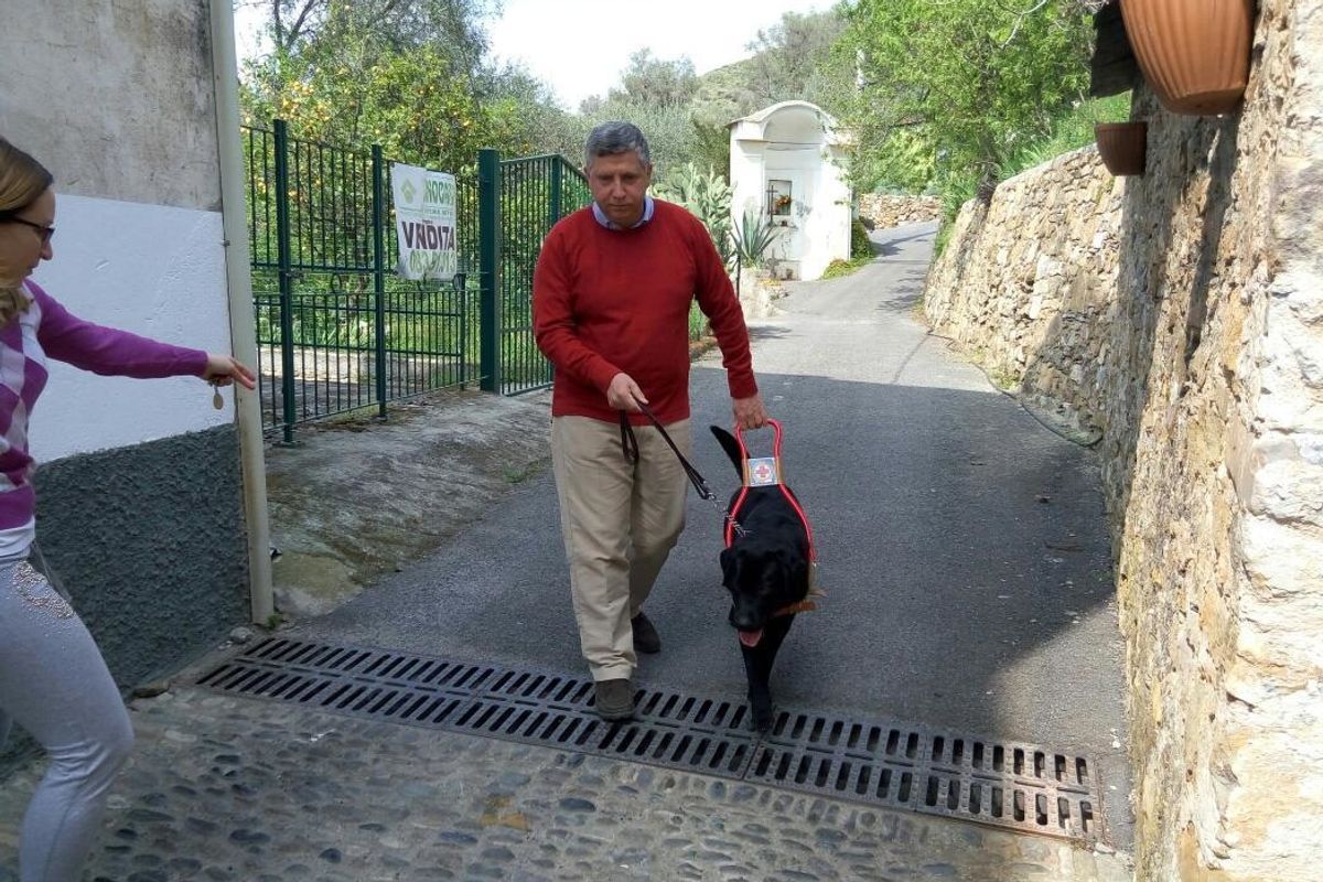 La prova della nostra resa all’islam è l’apartheid contro i cani per ciechi