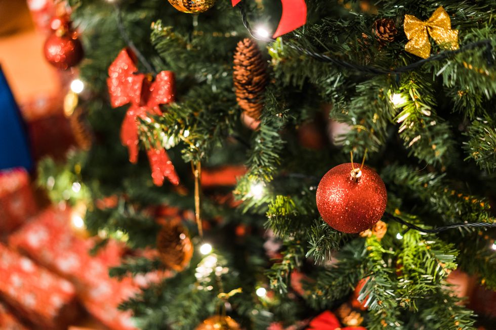 What a college student should do when they're home for the holidays