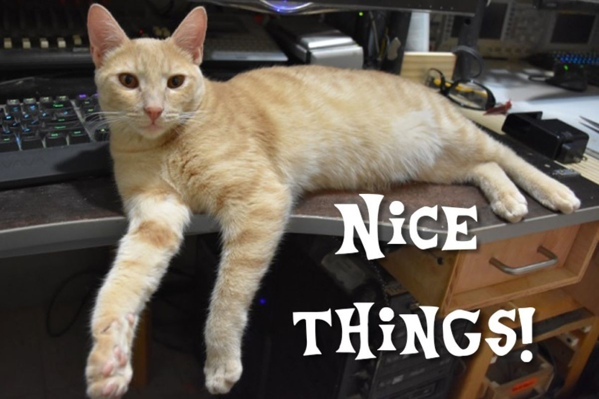 Even in 2019, We Had A Load Of Nice Things