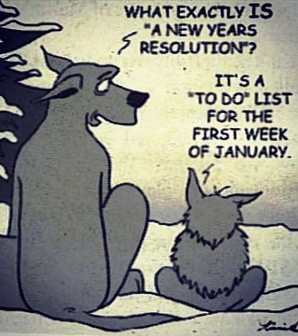 The Best New Years Resolution Memes For 2020 Second Nexus