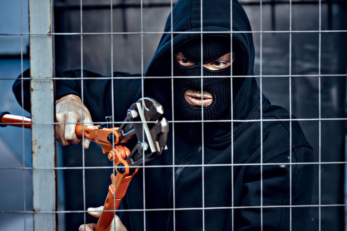 Sono i ladri la nuova piaga delle campagne italiane. Furti per 300 milioni all’anno