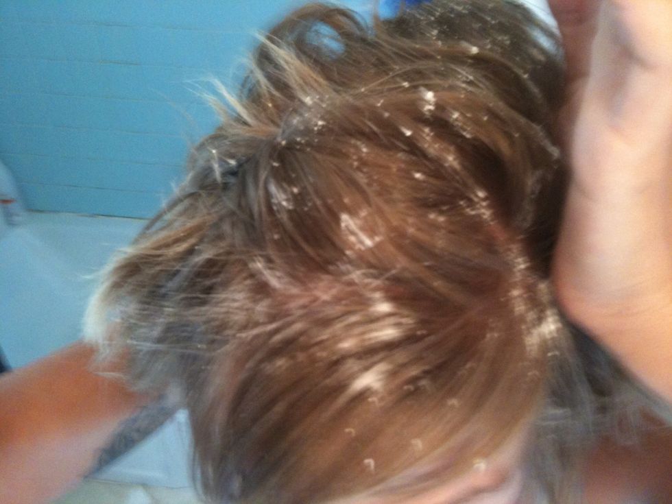 How to use corn starch as dry shampoo B+C Guides