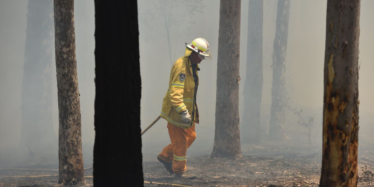 How to Help Australian Fire Victims