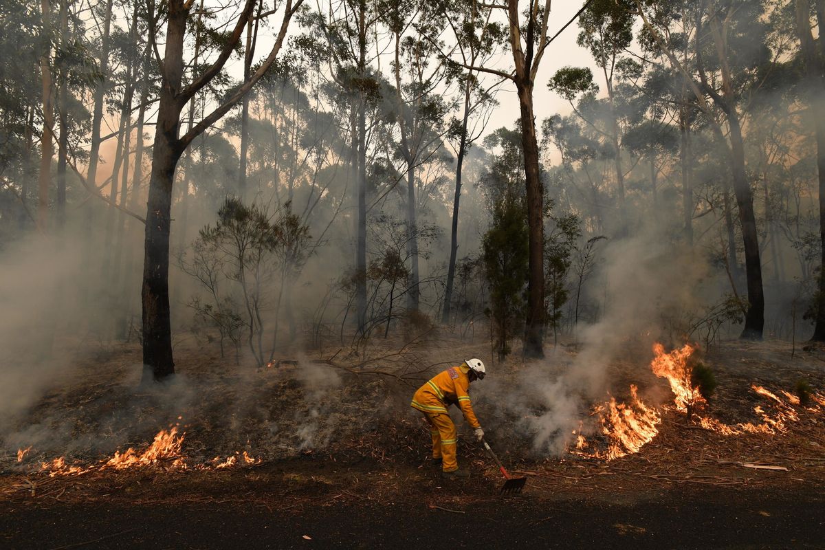 Non è solo il cambiamento climatico. L’Australia in fiamme per i piromani