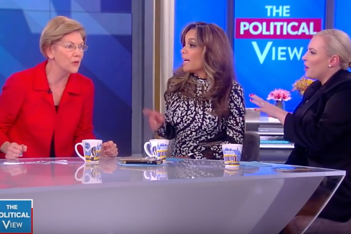 Elizabeth Warren Goes On 'The View' To Ignore Meghan McCain To Her Face