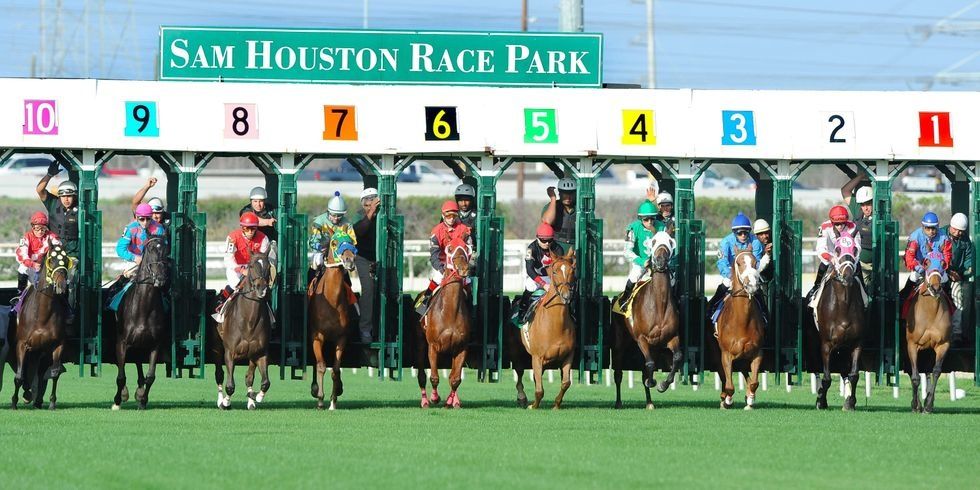 Horses leave the gate at Sam Houston Race Park