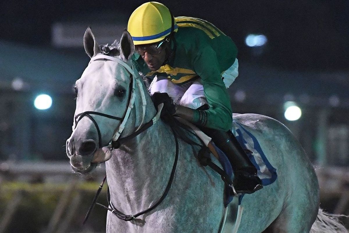 Sam Houston Race Park selections for Friday, March 20