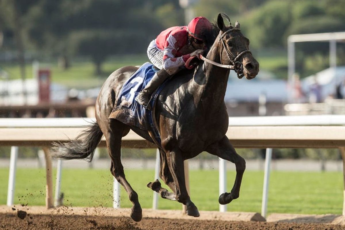 Sam Houston Race Park selections for Saturday, Jan. 11