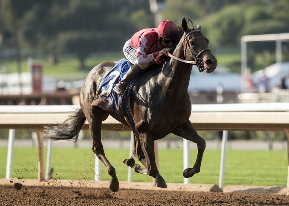 Sam Houston Race Park selections for Saturday, Jan. 11