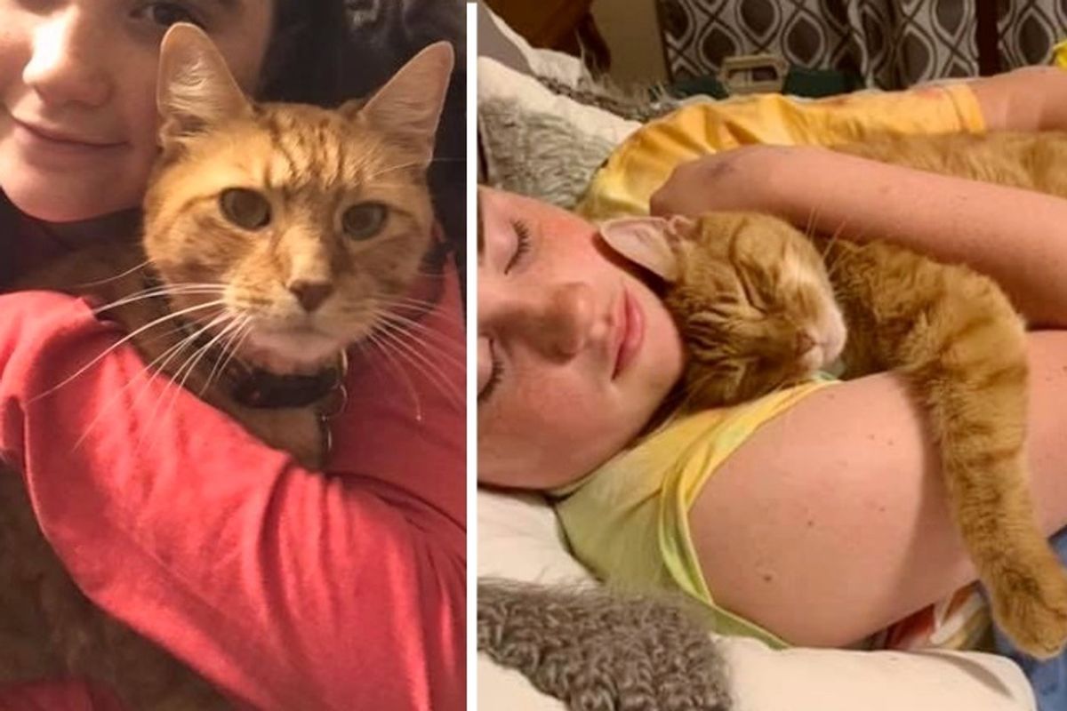 Couple Went to Concert But Came Home with a Cat Cuddling in Their Arms
