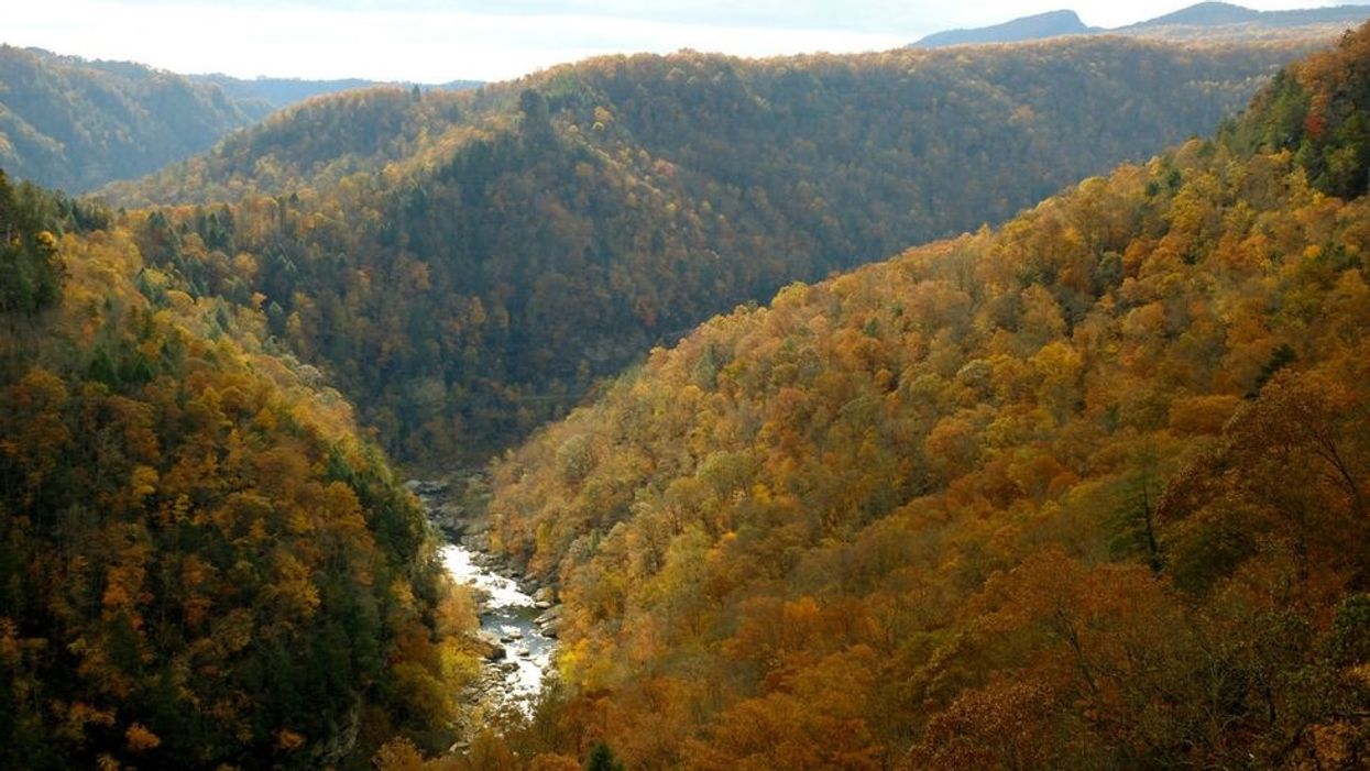 Longest swinging pedestrian bridge in North America to be built across Kentucky-Virginia stateline