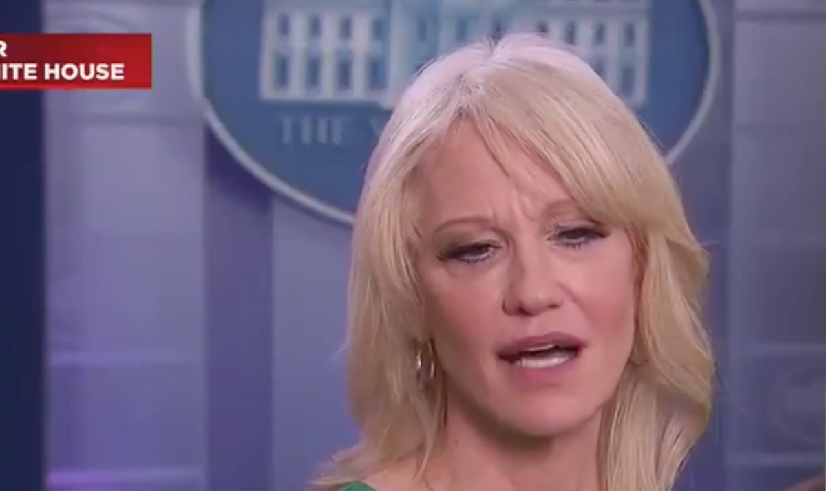 Kellyanne Conway Just Tried to Compare Trump's Impeachment to the Injustices Martin Luther King Jr. Fought Against