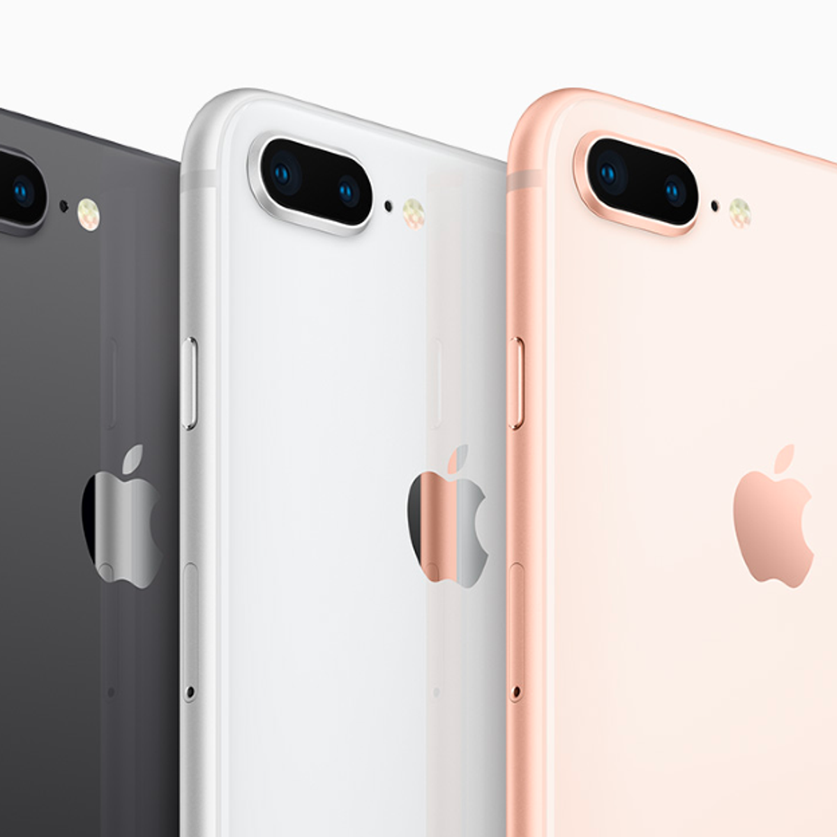 img.png?width=1200&height=1200