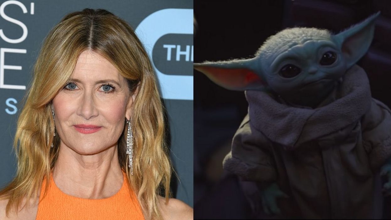 The Whole Saga Between Laura Dern And Baby Yoda Just Took Another Bizarre And Hilarious Turn