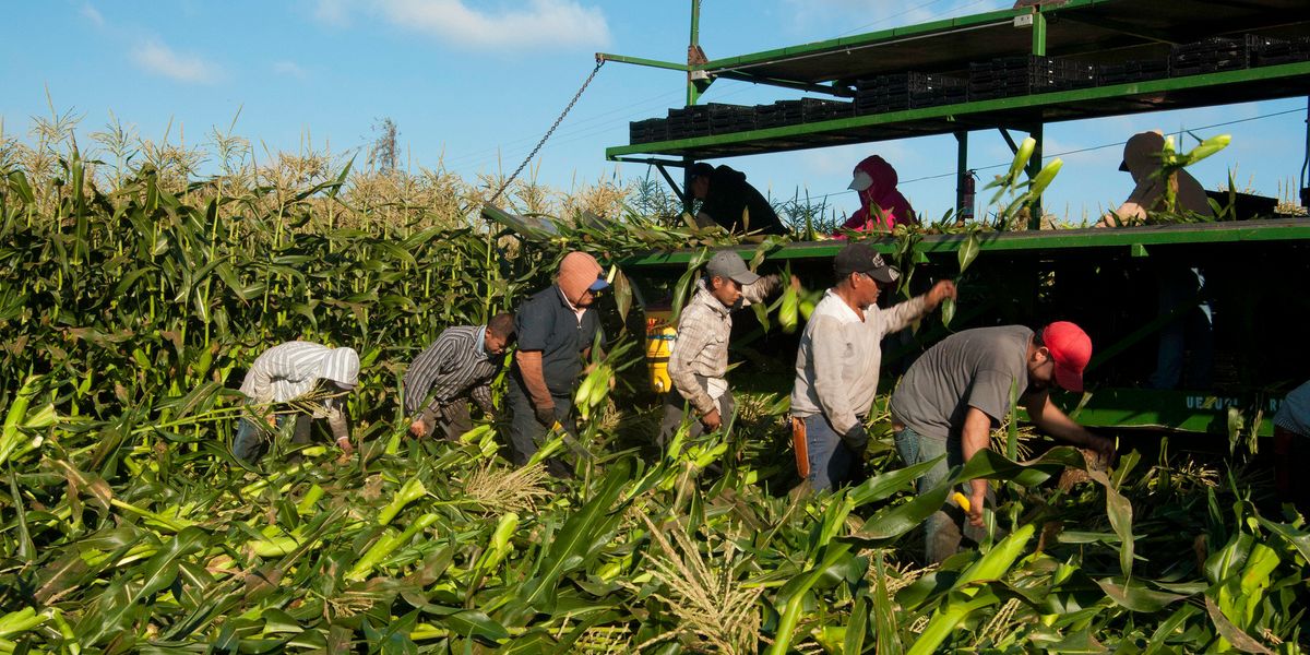 New country, same oppression: It’s time to bolster farmworkers’ rights