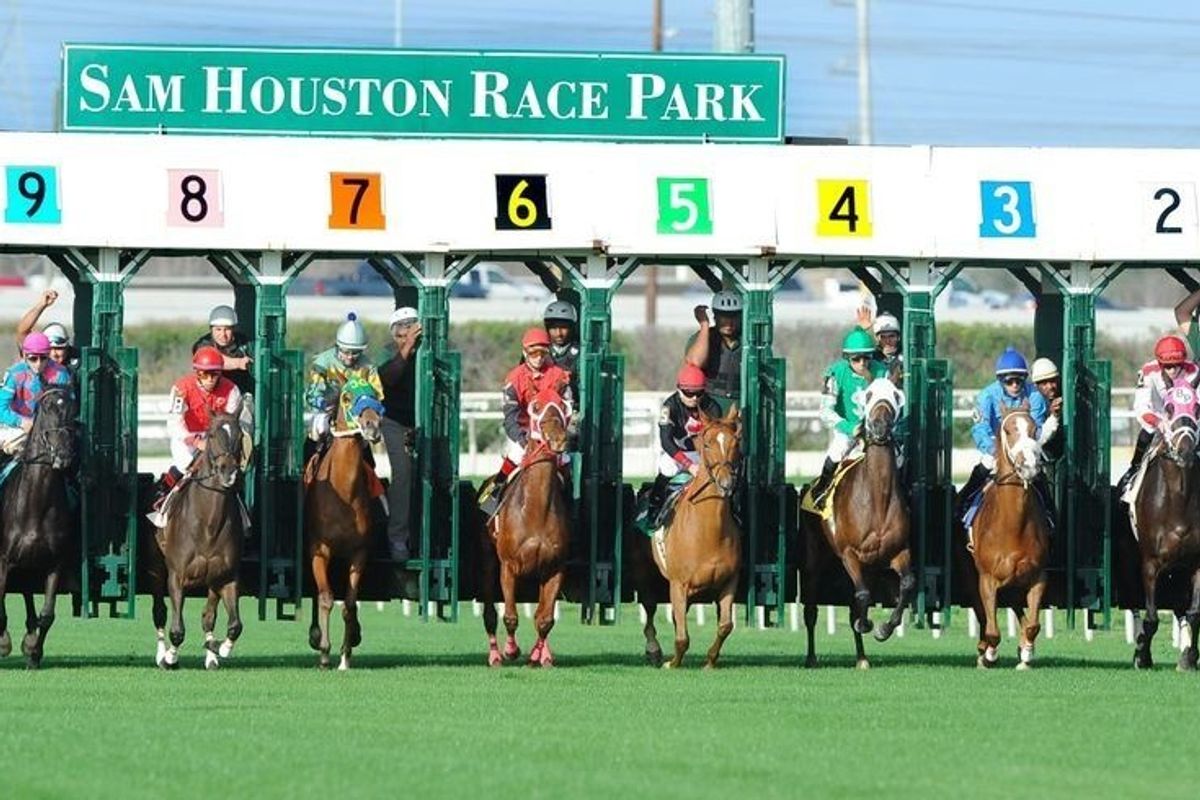 Horses leave the gate at Sam Houston Race Park