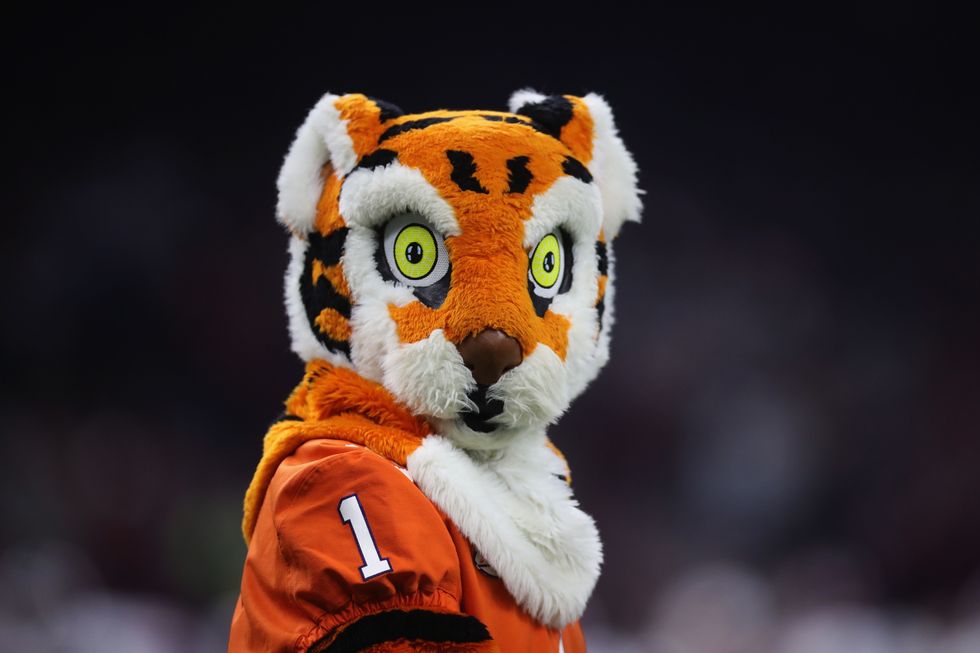 LSU fan starts GoFundMe to buy new costume for Clemson mascot